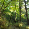 P7080016
