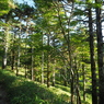 P7080022