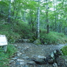 P7080026