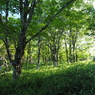 P7080030