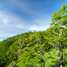 P7080052