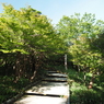 P7080062