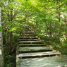 P7080064