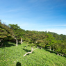 P7080073