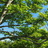 P7080116