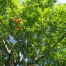 P7080117