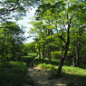 P7080124