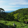 P7080135