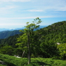 P7080144