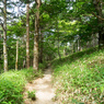 P7080210