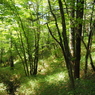P7080220