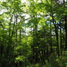 P7080223