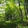 P7080229