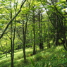 P7080230