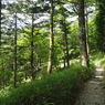 P7080232
