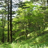 P7080233