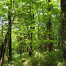 P7080235