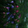 紫陽花Ⅳ～水辺の情景Ⅱ～