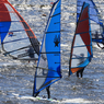 「青い海」ウインドサーフィン・フラワー