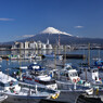 田子の浦漁港にて