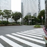 SHINJUKU BLOWIN 'IN THE WIND