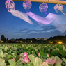「夜明け前の不忍池」