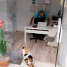 不動産屋のおじちゃん　”おはよ～♡”　ってば～！