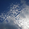 群青の空と鱗空の組み合わせ（7月3日）
