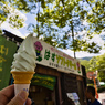 内から冷やす