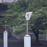 看板が気になって