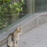 難しいお年頃…