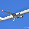 Japan Airlines