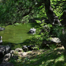 横浜公園_08