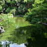 横浜公園_09
