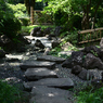 横浜公園_14