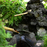 横浜公園_16