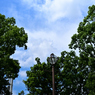 横浜公園_17