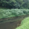 池の終着点（7月20日）