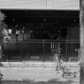 みなとみらい散策_20240814_14