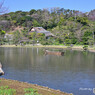 春の三渓園