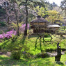 春の三渓園