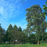 写真句：夏空