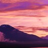 photo_1256479