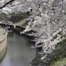 善福寺川緑地