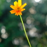 DSCF1847