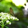 赤城自然園～⑩
