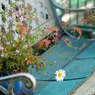 a garden chair