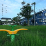 写真句：夏がゆく１