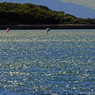 夏の海　P1043212zz