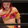 2009年は